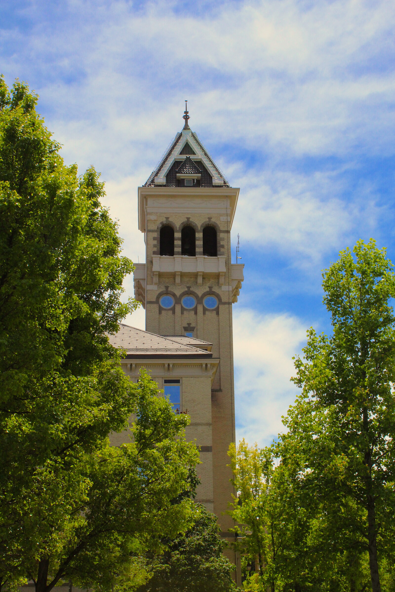 Clock tower rising above lush green trees under a blue sky.